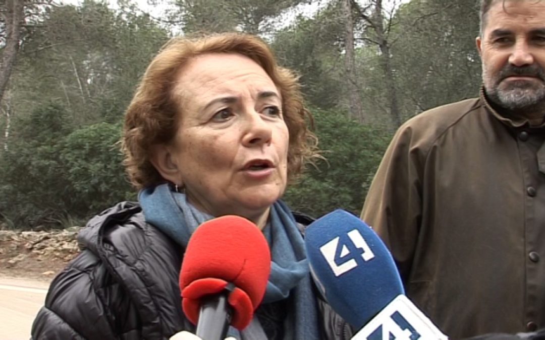 OBRES ROTONDA EL BOSQUE