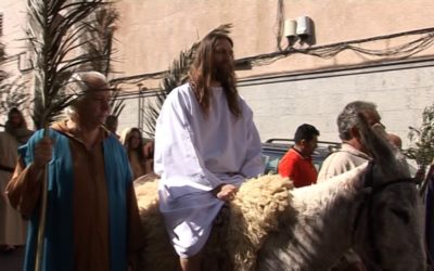 BENEDICCIÓ DE RAMS I PROCESSÓ