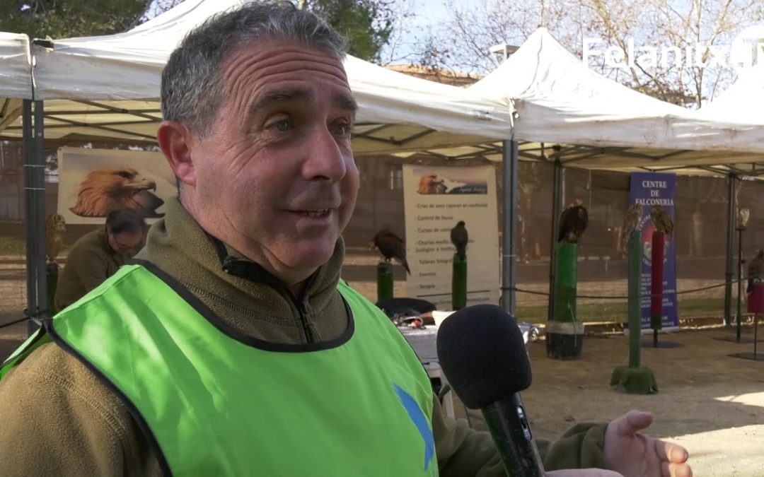 DIADA SOLIDÀRIA DE FALCONERIA INFANTIL, PER ASPANOB