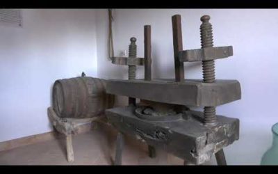 EL MUSEU DE LA FUNDACIÓ COSME BAUÇÀ