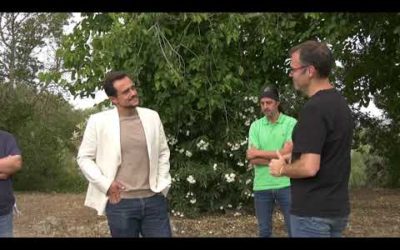 AVIAT COMENÇARAN LES OBRES DE LA CARRETERA FELANITX-MANACOR