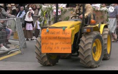 Les beneïdes de Sant Antoni a Felanitx, 2024