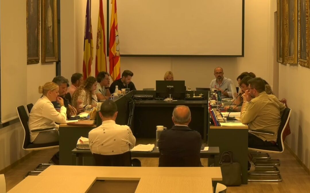 PLE AJUNTAMENT 13 MAIG 2024. SEGONA PART