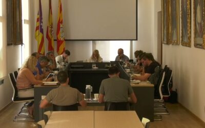 Ple ajuntament Felanitx, 8 juliol 2024.