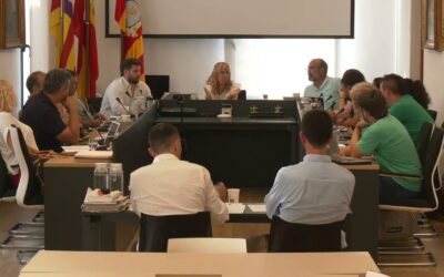 Ple Ajuntament 9 juny 2025. Primera part