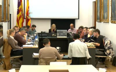 Ple ajuntament 22 desembre 2025