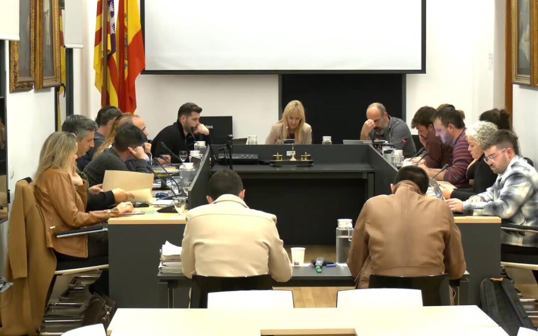 Ple ajuntament 9 de febrer 2026. Segona part