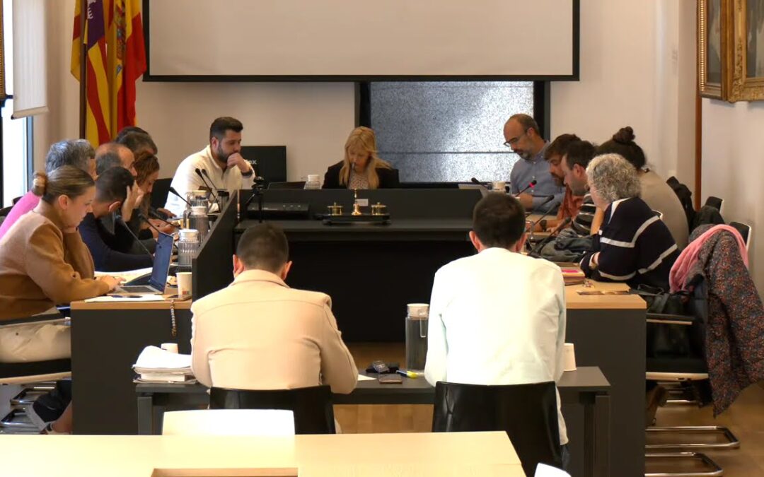 PLE AJUNTAMENT 24 MARÇ 2026