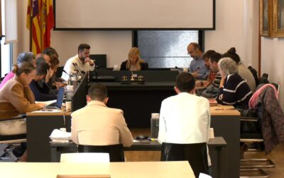 PLE AJUNTAMENT 24 MARÇ 2026