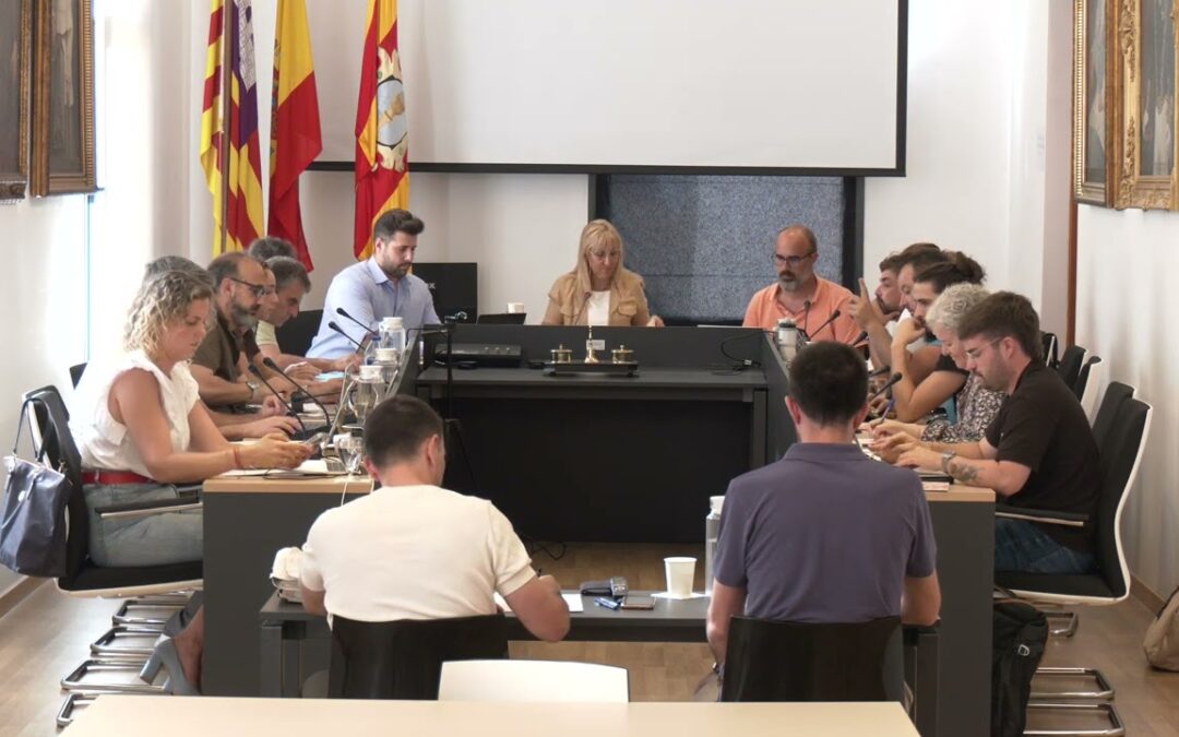 Ple de l’Ajuntament. 8 juny 2026