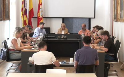 Ple de l’Ajuntament. 8 juny 2026