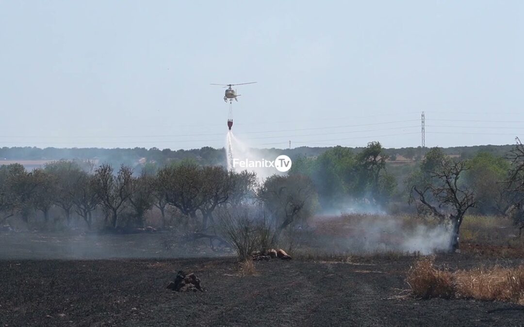 Tallen la carretera Cas Concos  Santanyí per un incendi
