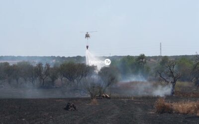 Tallen la carretera Cas Concos  Santanyí per un incendi