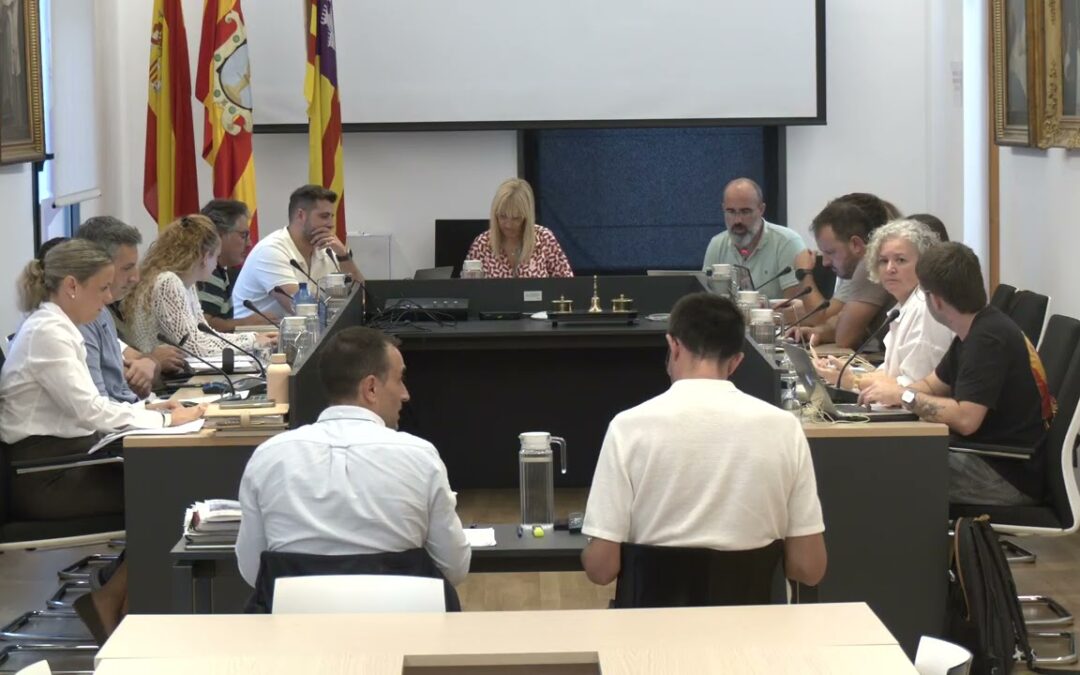 Ple Ajuntament 19 octubre 2026